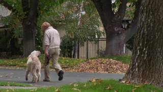 Shutterbug - Cherokee Memorial Commercial