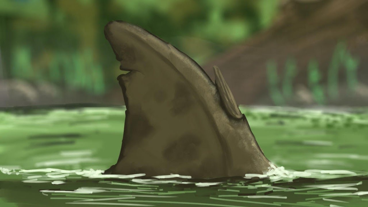 Czas Gdy Niemal Wszystko Było Rekinem