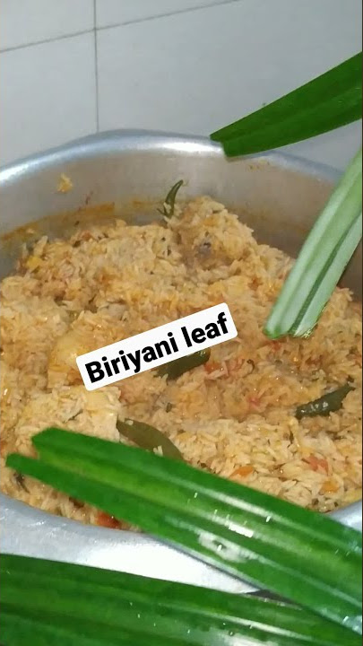 #Shart video/Biriyani leaf flavour