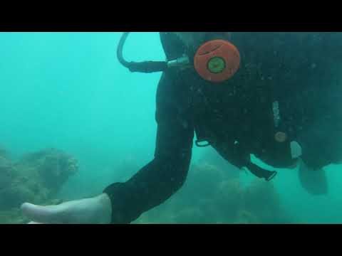 ⁣Explorando o fundo do mar em Porto Seguro | Scuba Diving Brasil