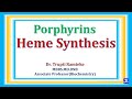 Porphyrins & Heme Synthesis | hemoglobin Chemistry & Metabolism | Biochemistry | @NJOYBiochemistry