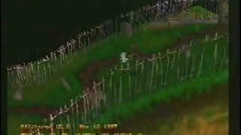 Rare MediEvil 97 Prototype