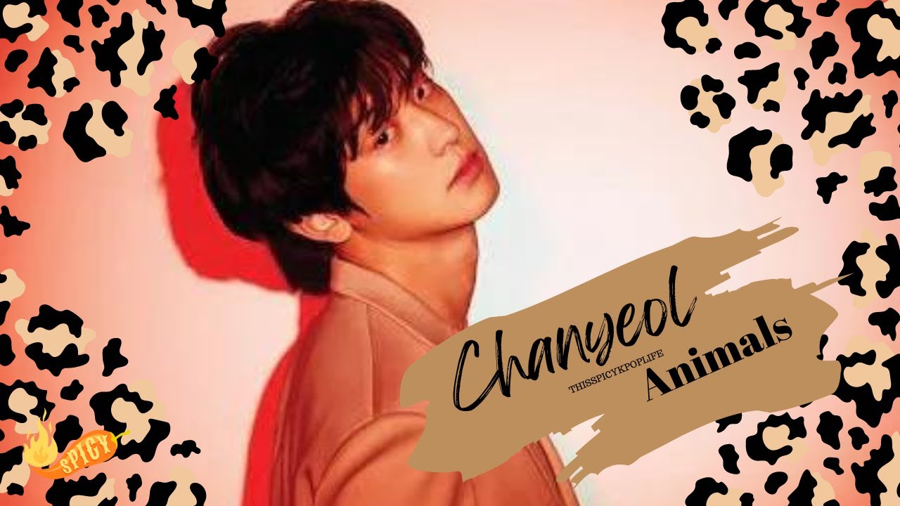 Chanyeol | Animals | FMV