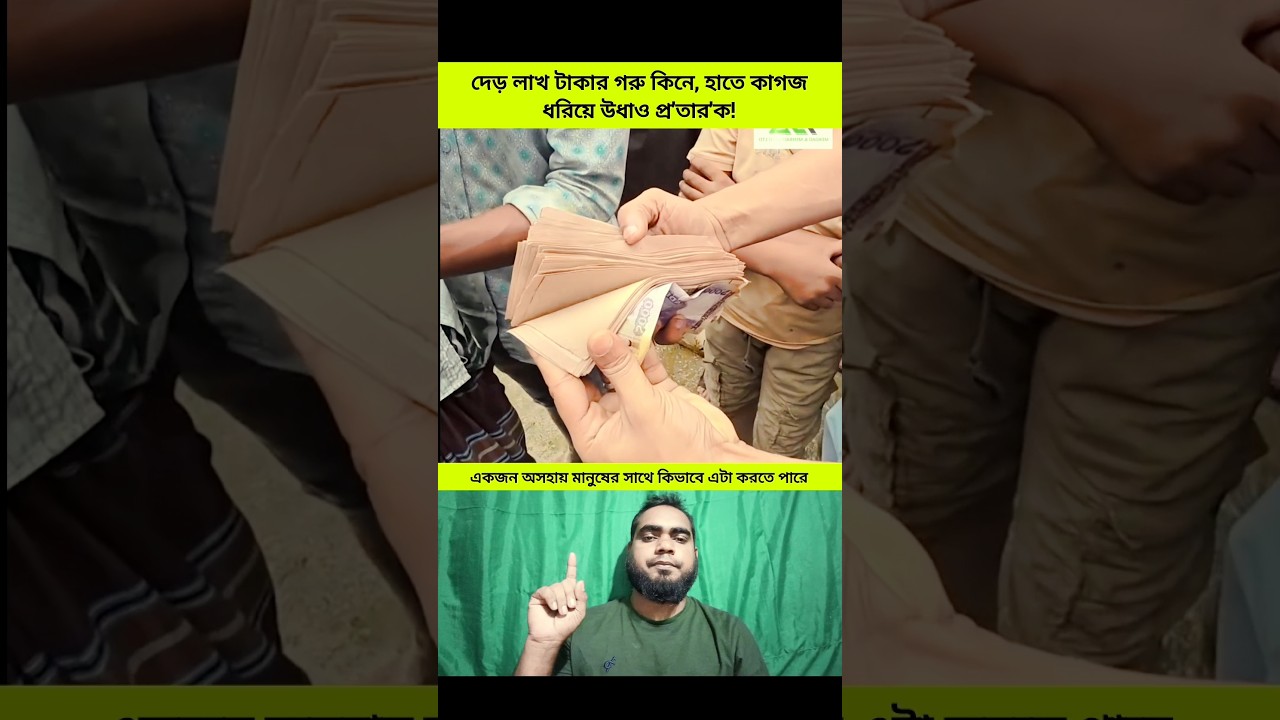 দেড় লাখ টাকার গরু কিনে, হাতে কাগজ ধরিয়ে উধাও প্র'তার'ক!