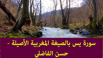 سورة يس بالصيغة المغربية الأصيلة للقارئ  حسن الفاضلي