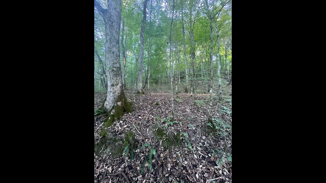 The Beginning of a Dream. Welcome to Riverside Mountain Acres! Off-Grid