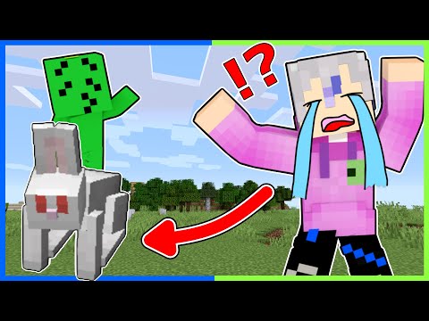 トモダチとケンカしたらウサギに変えられた！？🐰【 マイクラ / まいくら / Minecraft 】