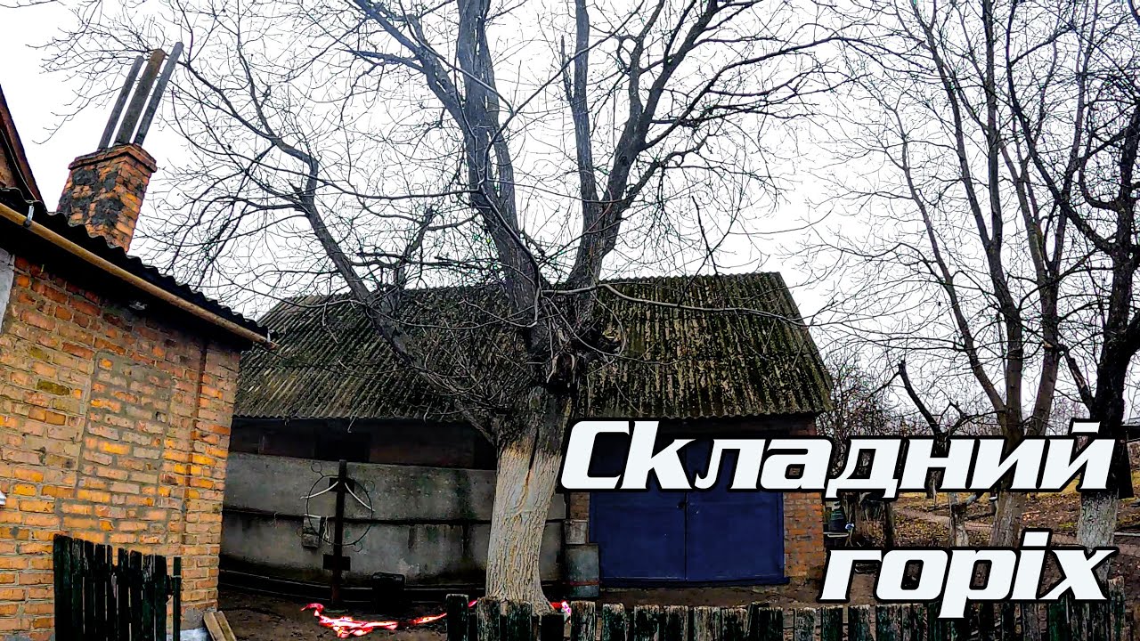 Ріжемо горіх над сараєм, парканом та будинком