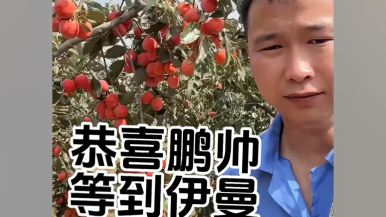 Iman’s Heading Back to China Soon — Peng Shuai’s Happy Day in the Persimmon Orchard!