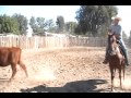 Todd henricks on horse