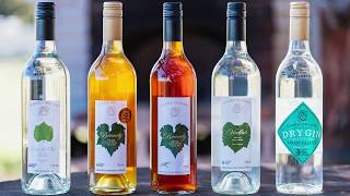 Organic Wine Tour and Tasting