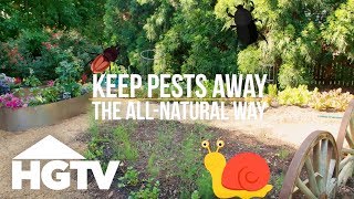 All-Natural Pest Repellants | HGTV