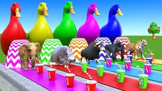 Long Slide Game With Cow Elephant Gorilla Hippopotamus Tiger 3d Animal Game Funny 3d Animals