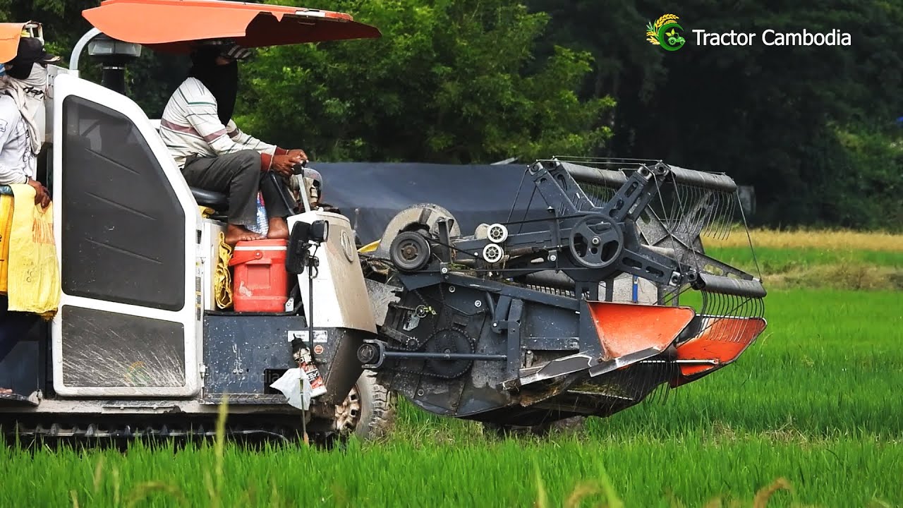 Great Driving Skills Harvester Machine Cropping Rice By Farmer Khmer | When Harvesting Machine Works