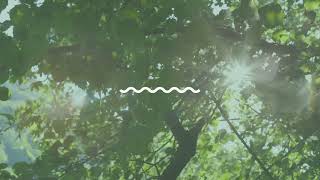 Music Box Lullabies - Photograph (Lullaby)