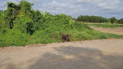 Giảm 50 triệu  còn 800 triệu cho lô đất thổ cư 278m2 xã Phước Tuy cần đước Long An