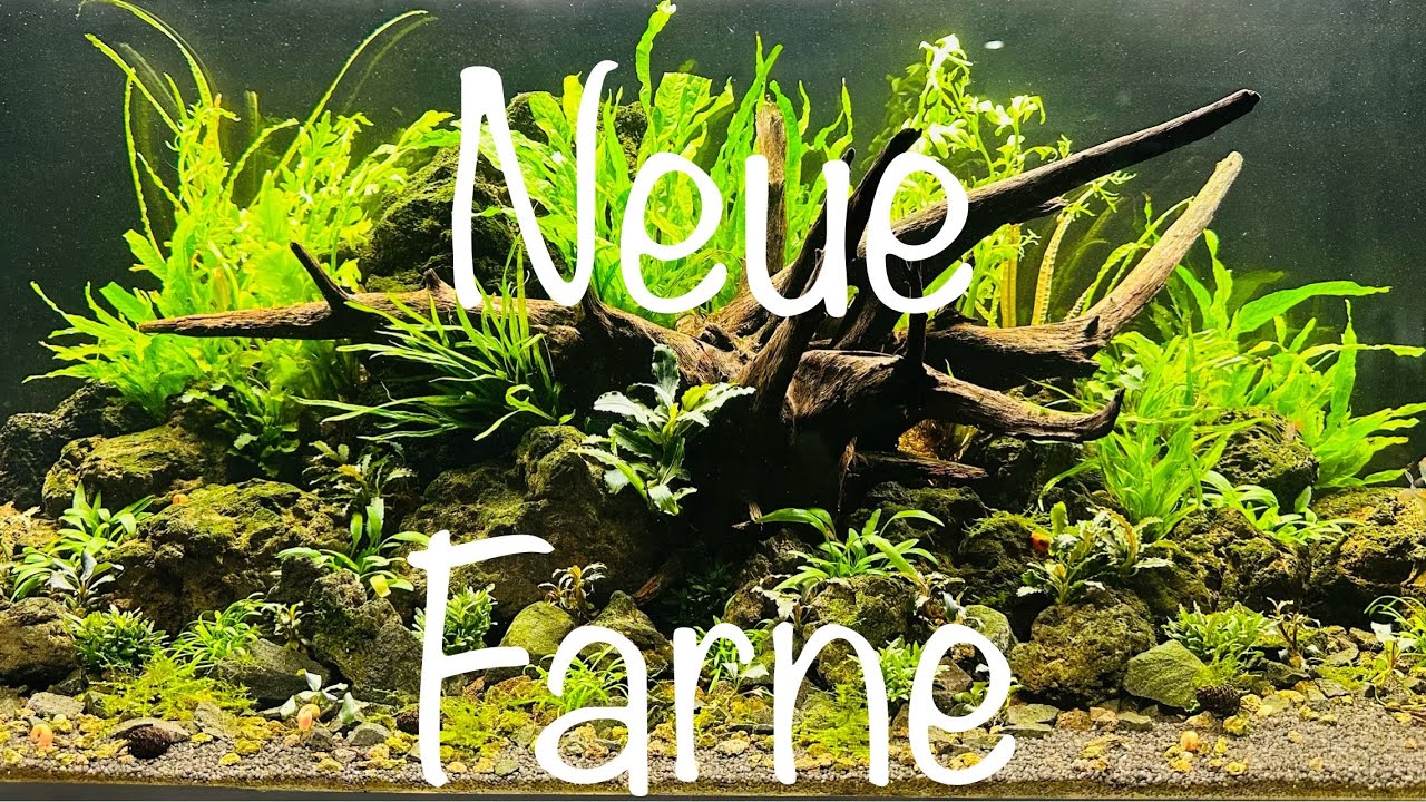 kriechende insekten Permanent InsektenRaumspray: Fliegen, Mücken & Schaben vertreiben –  Neudorff Shop main image 0
