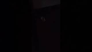 vasantha chappelusing in home 2026april night, sameday