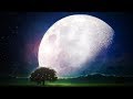 Sleep &amp; Manifest Your Dreams (Meditations, Binaural Beat Music, Law Of Attraction Affirmations) #62
