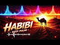 ✨ HABIBI NIGHT – Noche Habibi EDM Remix | Trending Arabic EDM