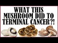 What this mushroom did to terminal cancer