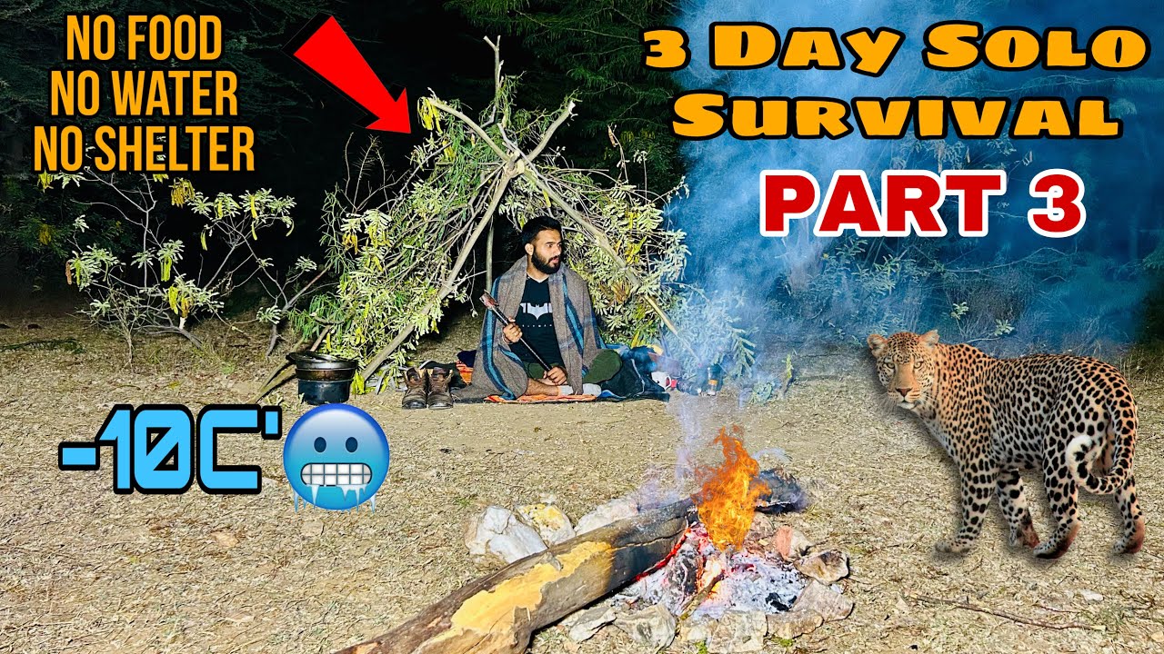 3 Day Solo Survival Camping ! No Food No Water No Shelter ! Solo ...