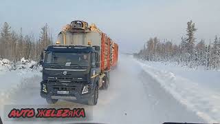 Вывозка леса на Севере