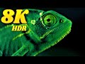 Darkest Details 8K HDR 60FPS ( FUHD )