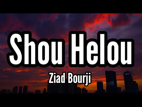       زياد برجي شو حلو فيلم بالغلط