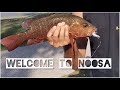 Welcome to Noosa