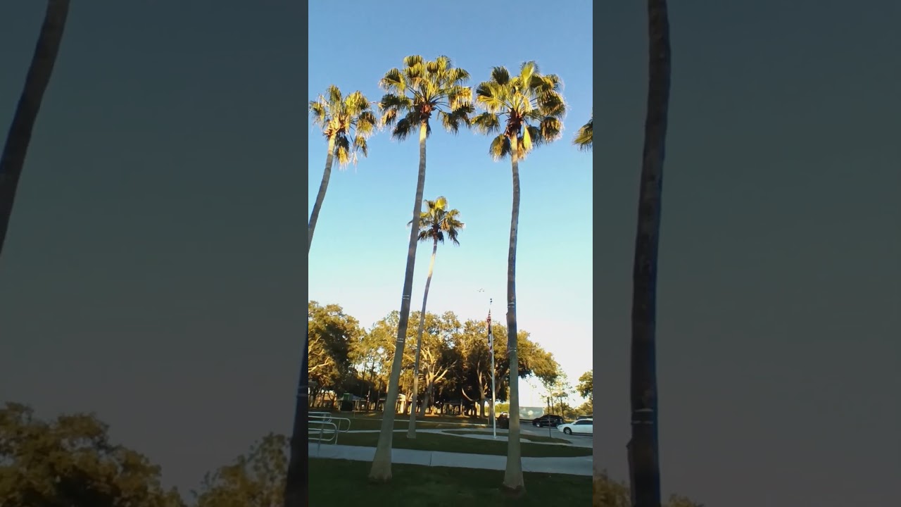 beautiful i-4 rest stop