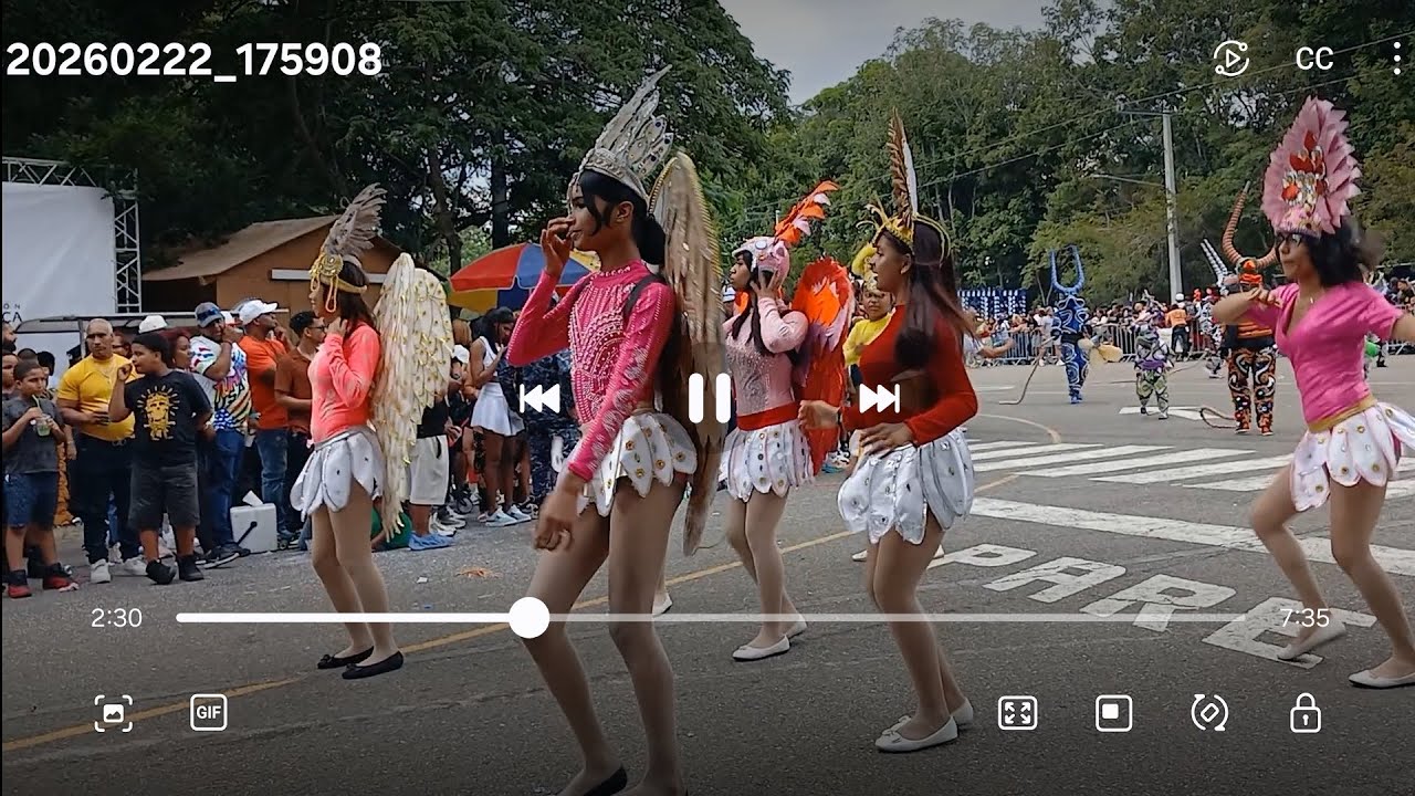 Carnaval de Santiago 4ta salida parte 1