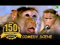 Monkey Funny Scene | Comedy Scene | Jawab Hum Denge | Jackie Shroff, Shatrughan Sinha, Sridevi | HD