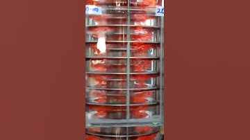 RDC Extraction Column, 200 Revolutions per minute HD