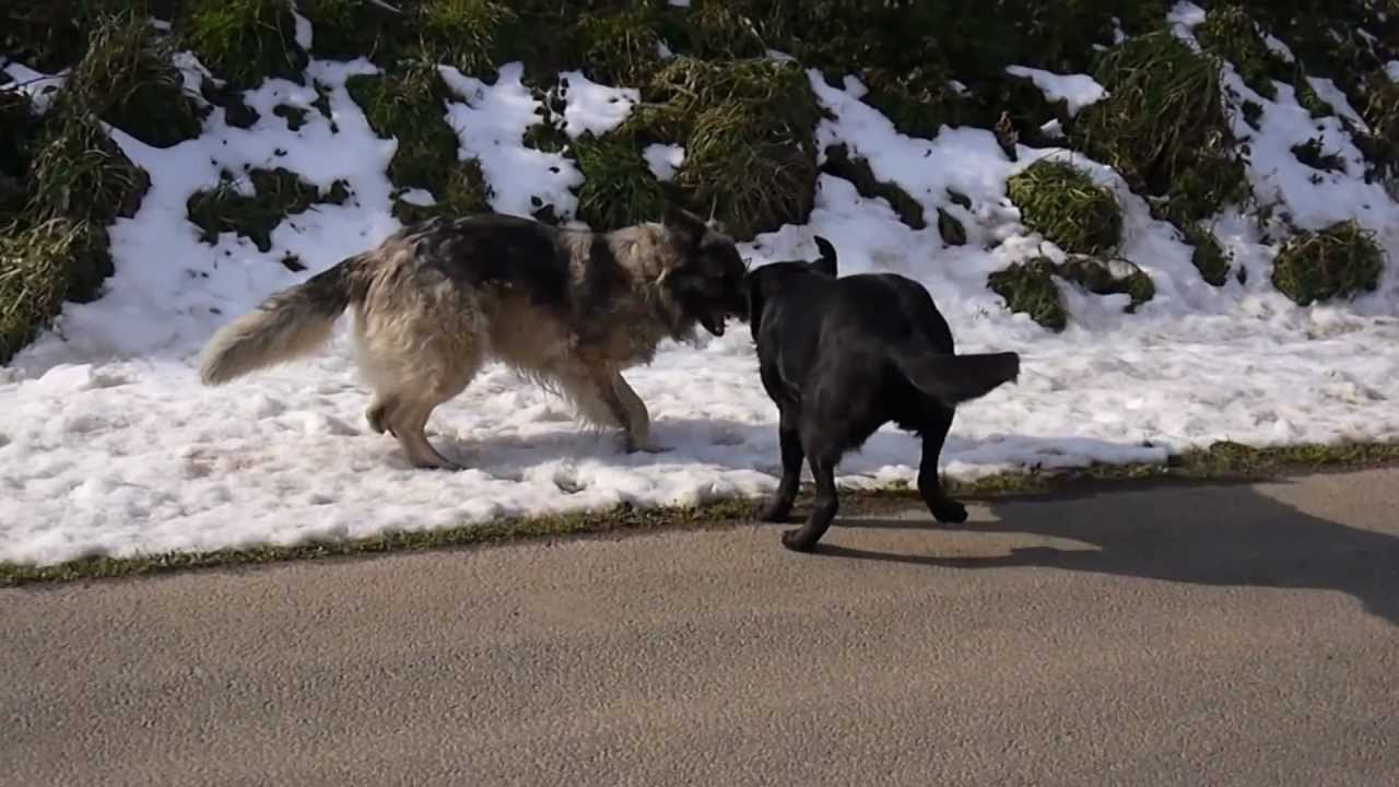 PROMENADE à PONT MELVEZ