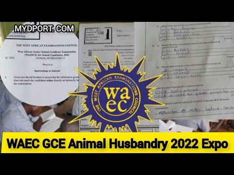 animal husbandry waec obj and essay 2022