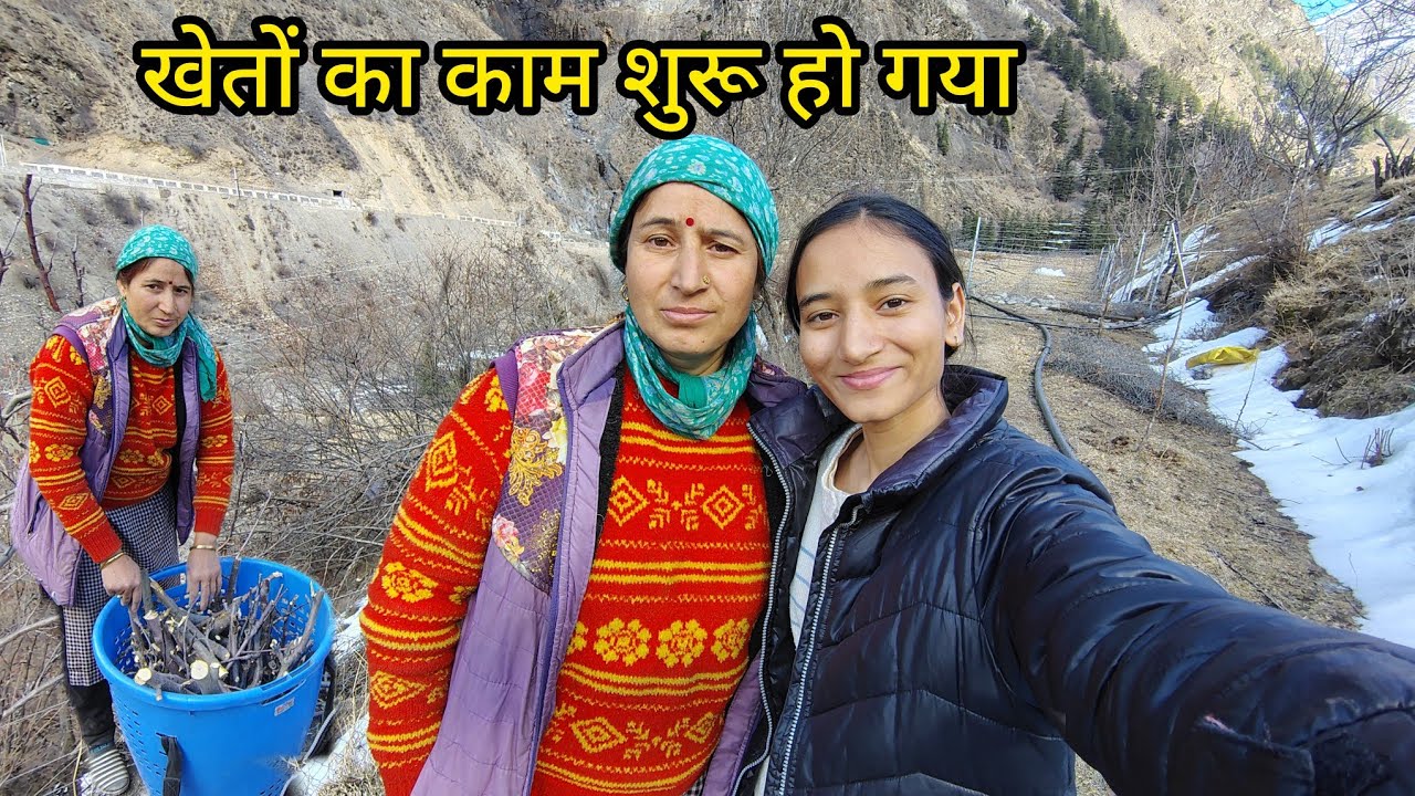 खेतों का काम शुरू हो गया #himachal #villagelifestyle #village 