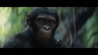 Трейлер фильма "Планета обезьян. Новое царство"