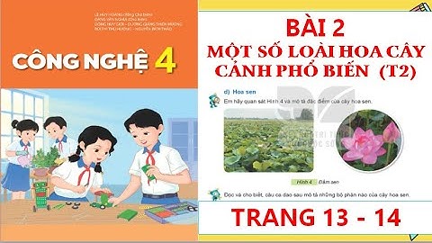 CÔNG NGHỆ 4: BÀI 2:MỘT SỐ LOÀI HOA CÂY CẢNH PHỔ BIẾN (T2) MỚI NHẤT