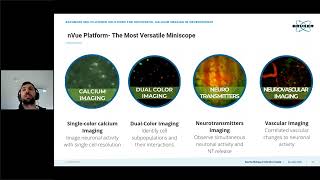 Layering Multiple Brain Signals with Dual Color Imaging | Bruker Miniscope