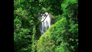 The Hulugan Falls Gubat Lagonoy Camarines Sur