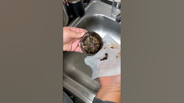 Have a smelly disposal?! Clean this! 🤢 #handyman #garbagedisposal