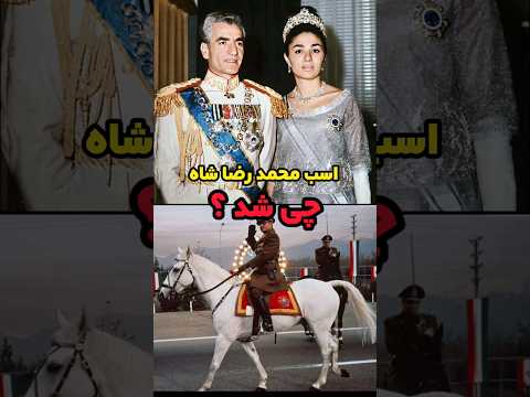 عاقبت اسب محمد رضا شاه