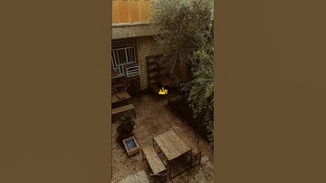 قران - سورة النساء - ياسر الدوسري #قرآن #قران_كريم