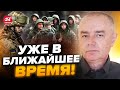 🔥СВИТАН: Россияне паникуют возле ТОКМАКА, уже НЕТ ВРЕМЕНИ / Ого! УКРАИНА получит неожиданное…