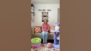 Life with✨Cats✨ #shorts #pets #cats #sphynx