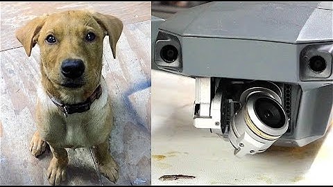 DJI mavic gimbal overload fix