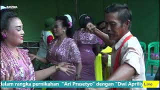 SRAMPAT - PAMIT MULIH  // Tayub Blora Timbul Laras Live Jepangrejo