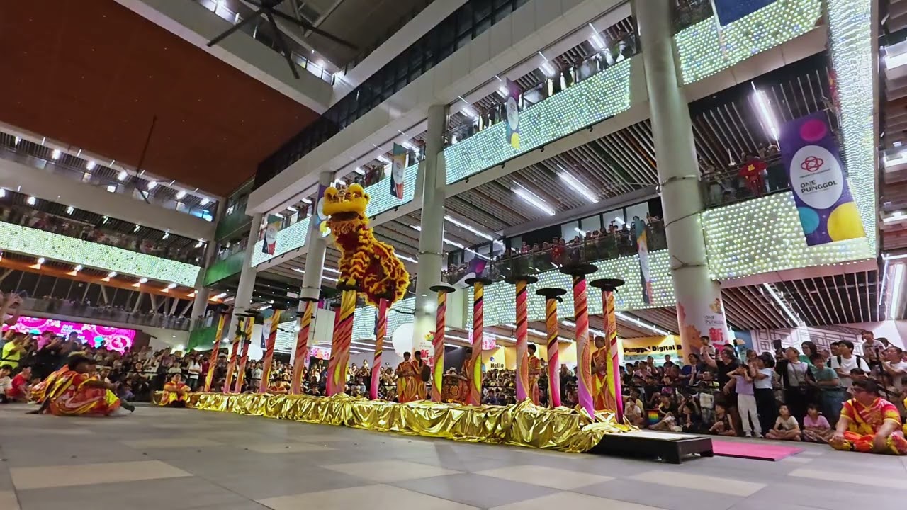 🎥 INSANE HIGH POLE LION DANCE CAPTURE! 🦁⚡ Singapore Shui Lian Gong 