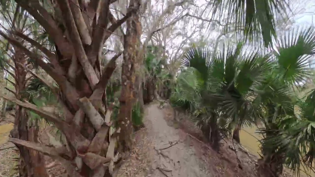 Black Bear Wilderness Area, Flat Version, Part 3